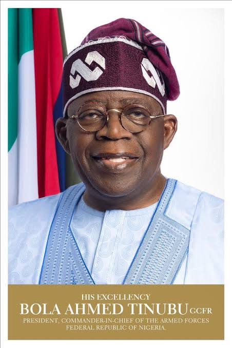 Tinubu: One Month of Pragmatic Solutions, Edifying Actions  By Tunde Rahman