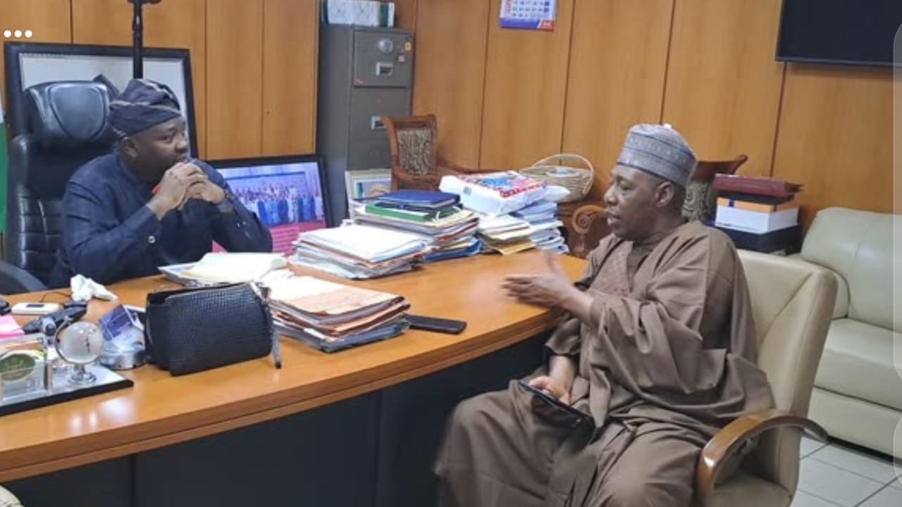 Electricity: Zulum, Borno governor visits Adelabu, seeks collaboration between FG and State